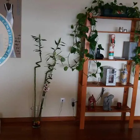 Apartment Apartamento Jade Canico (Madeira)
